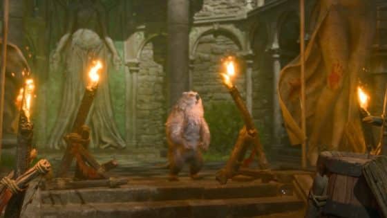 How to Get Owlbear Cub in Baldur’s Gate 3 – Unlock Cute Pet