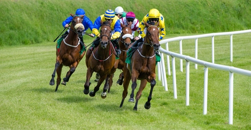 How to Bet on Horse Racing