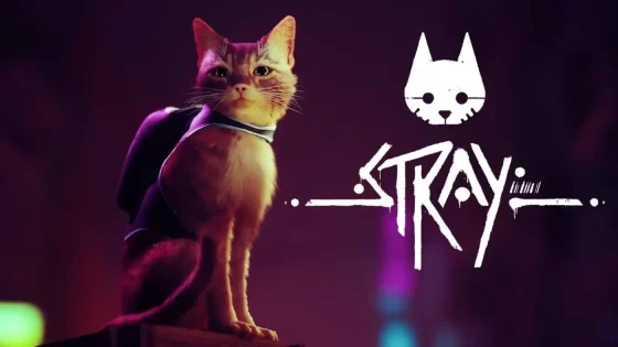 Stray is Coming to Xbox: Release Date and Launch Trailer